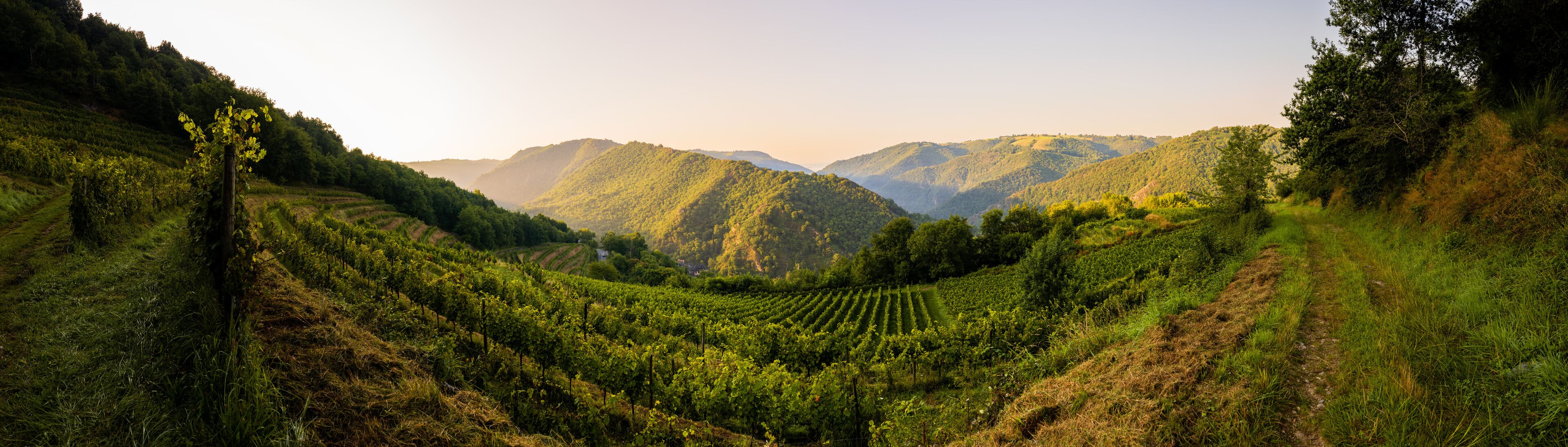 كاستلناو دي إستريتفوندس