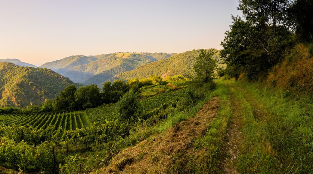 كاستلناو دي إستريتفوندس