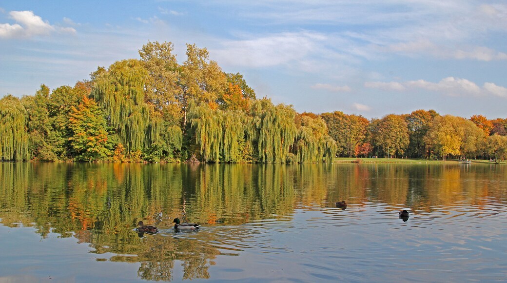 autumn lake in Nowa Huta, Krakow, Poland; Shutterstock ID 116156821
