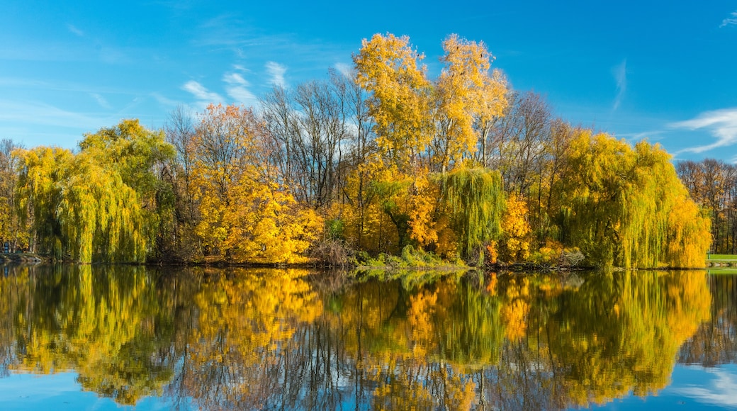 Golden Polish Autumn. The Nowa Huta Pond. Cracow. Poland