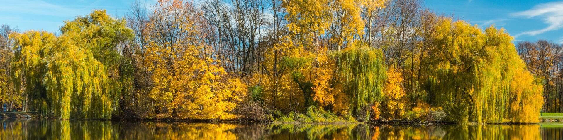 Golden Polish Autumn. The Nowa Huta Pond. Cracow. Poland