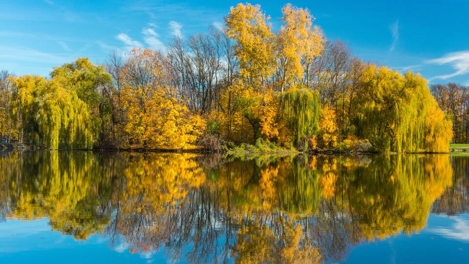 Golden Polish Autumn. The Nowa Huta Pond. Cracow. Poland