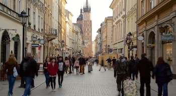 Cracovia ofreciendo una ciudad y elementos patrimoniales y también un gran grupo de personas