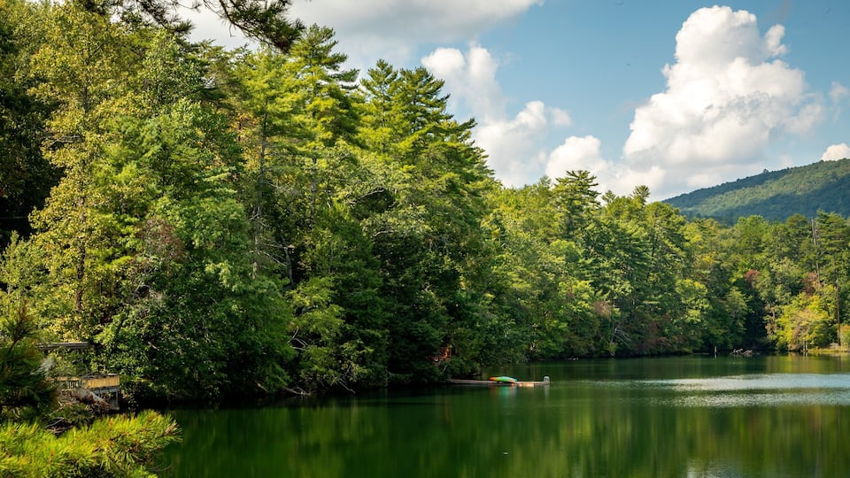 A calm lake surrounded by dense green forest and a mountain in the background.