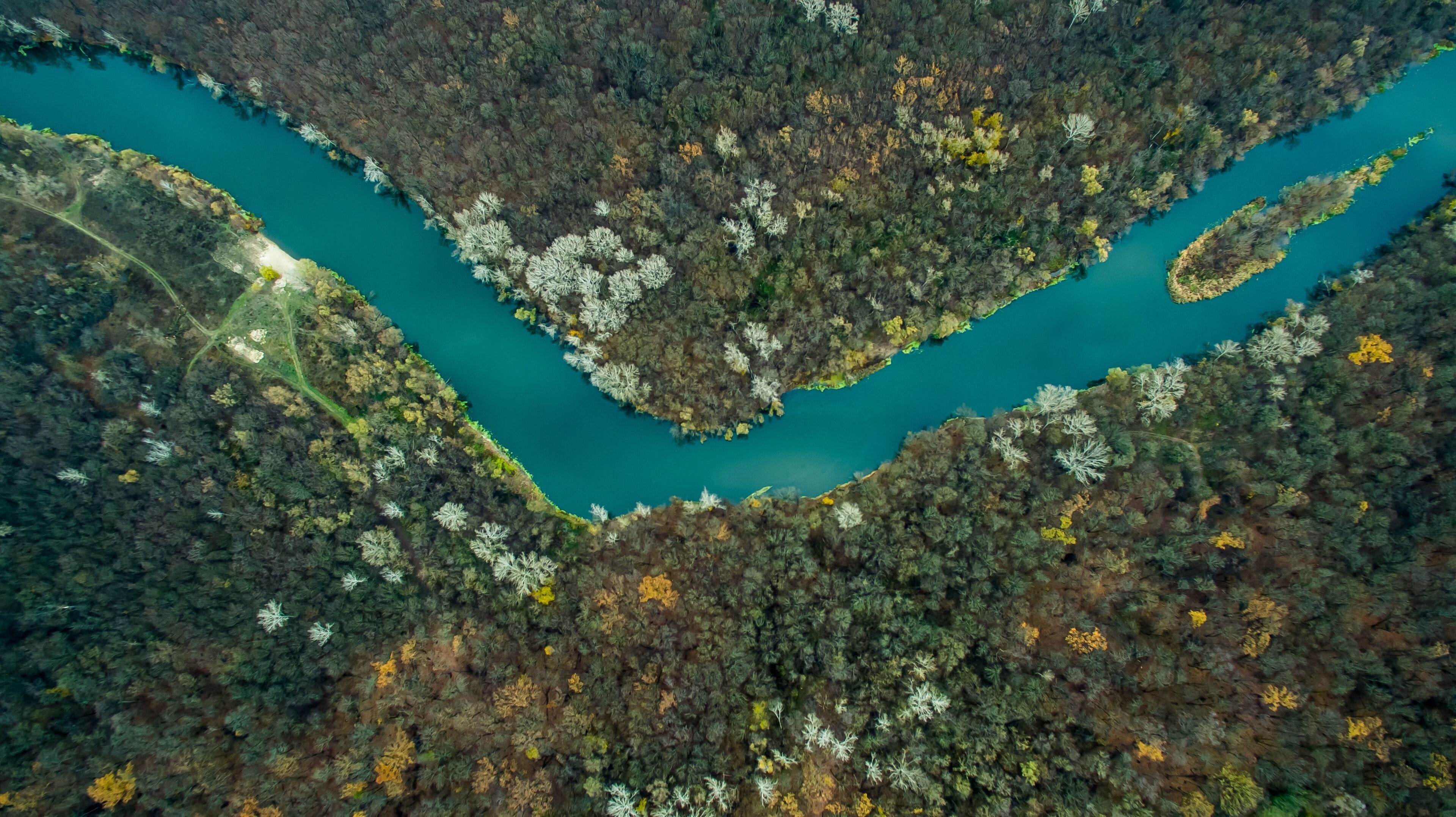 Vista aérea de un río serpenteando por un valle densamente arbolado con zonas de follaje amarillo.