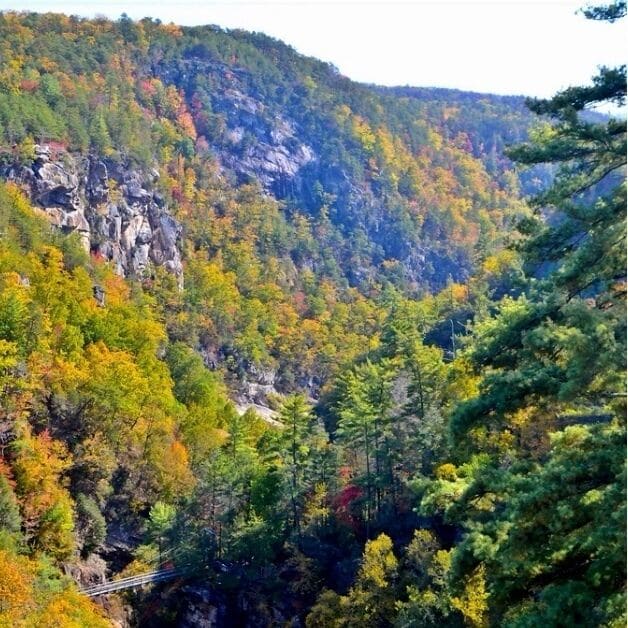 A mountainous landscape with dense forests and a rocky cliff.