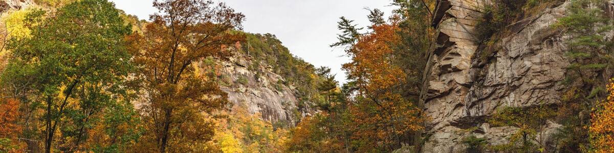 On my way down from the mountains I stopped at Tallulah Falls, a place I had never visited even though it very well known in Georgia.
What I wasn't expecting was the hike. On paper it looks like a mile round trip; in reality it is 1,200+ stairs round trip! It was worth it though with this fall color.