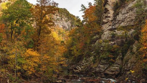 On my way down from the mountains I stopped at Tallulah Falls, a place I had never visited even though it very well known in Georgia.
What I wasn't expecting was the hike. On paper it looks like a mile round trip; in reality it is 1,200+ stairs round trip! It was worth it though with this fall color.