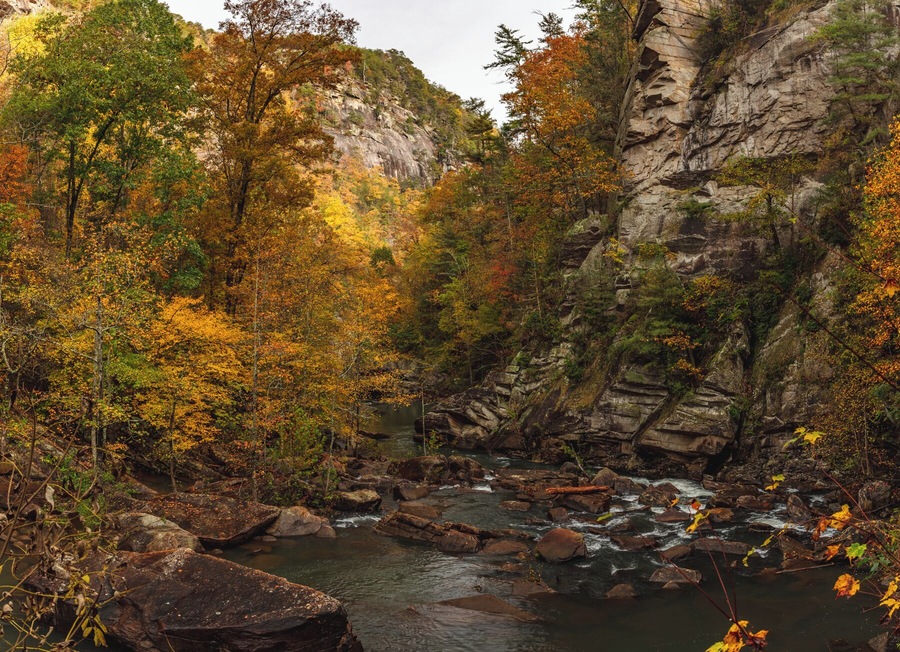 On my way down from the mountains I stopped at Tallulah Falls, a place I had never visited even though it very well known in Georgia.
What I wasn't expecting was the hike. On paper it looks like a mile round trip; in reality it is 1,200+ stairs round trip! It was worth it though with this fall color.