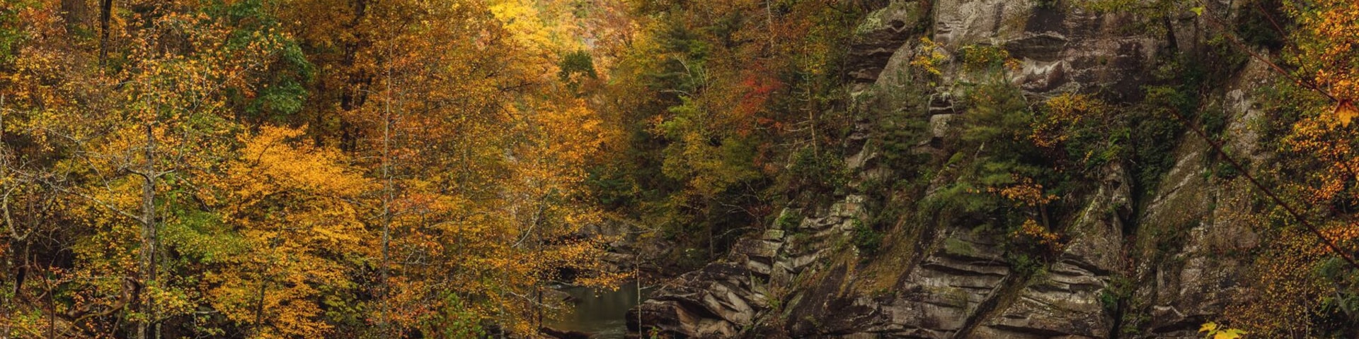 On my way down from the mountains I stopped at Tallulah Falls, a place I had never visited even though it very well known in Georgia.
What I wasn't expecting was the hike. On paper it looks like a mile round trip; in reality it is 1,200+ stairs round trip! It was worth it though with this fall color.