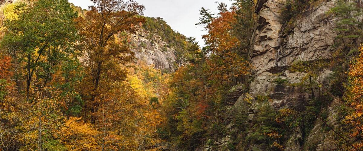 On my way down from the mountains I stopped at Tallulah Falls, a place I had never visited even though it very well known in Georgia.
What I wasn't expecting was the hike. On paper it looks like a mile round trip; in reality it is 1,200+ stairs round trip! It was worth it though with this fall color.