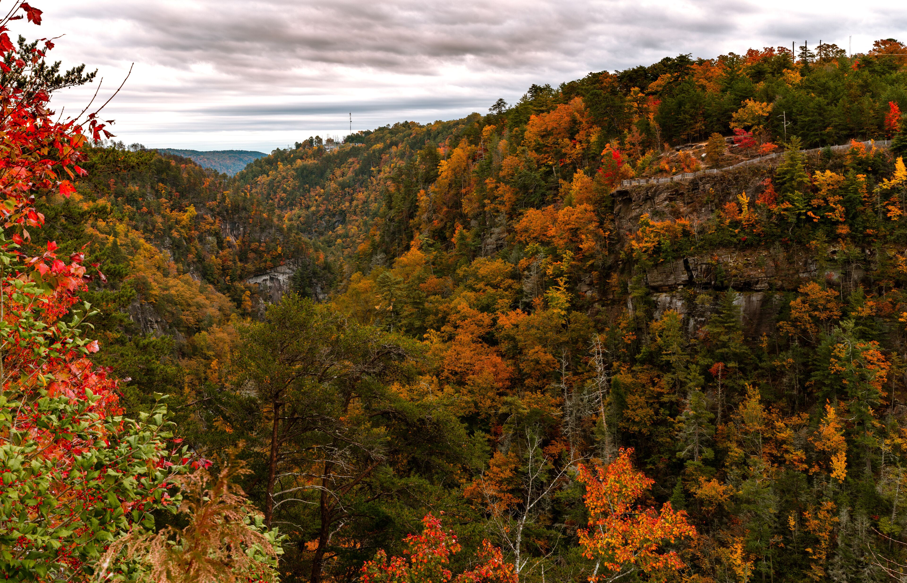 A forested valley with autumn foliage, rocky cliffs, and a distant view of a power line tower.