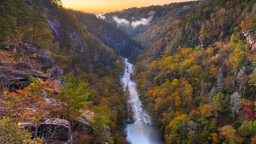 Tallulah Falls, Georgia, USA overlooking Tallulah Gorge