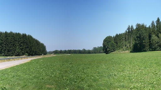 Trompetentälchen bei Schwenden, Bad Grönenbach, Landkreis Unterallgäu. Erfasst als Geotop "Ziegelberger Trompetentälchen", Geotop Nr. 778R003. Während der Rückzugsphase des Gletschers entsteht zwischen Eisrand und Endmoräne ein Stausee, der zu gegebener Zeit an der tiefsten Endmoränenstelle überläuft. Die Wassermassen schneiden sich aufgrund des hohen Gefälles tief in den Endmoränenabschnitt ein. Das Foto zeigt das Tälchen in Blickrichtung Norden, d.h. in die Richtung, in die das Wasser am Ende der letzten alpinen Eiszeit (Würm) abfloss. Dieses Trompetentälchen ist eine große Rarität, weil es im Urzustand (bis auf omnipräsente Verwitterung) konserviert wurde, da die entstehende "Iller" bereits kurz nach dem Durchbruch ihr neues Flussbett fand.