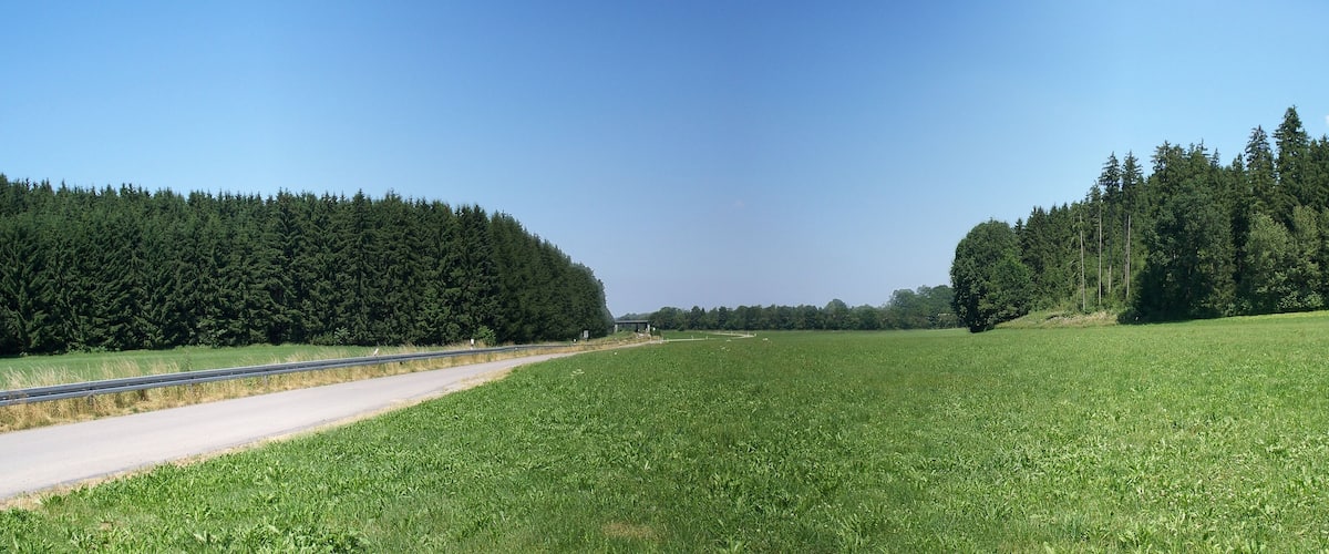 A rural landscape with a road, green fields, and dense forests.