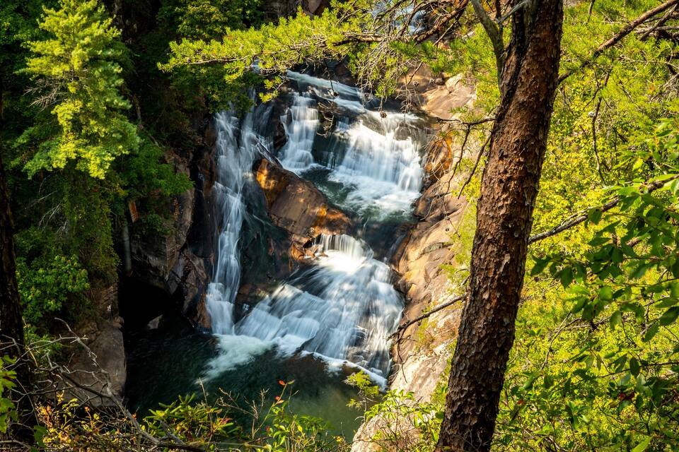A waterfall cascading over rocks surrounded by dense green foliage.