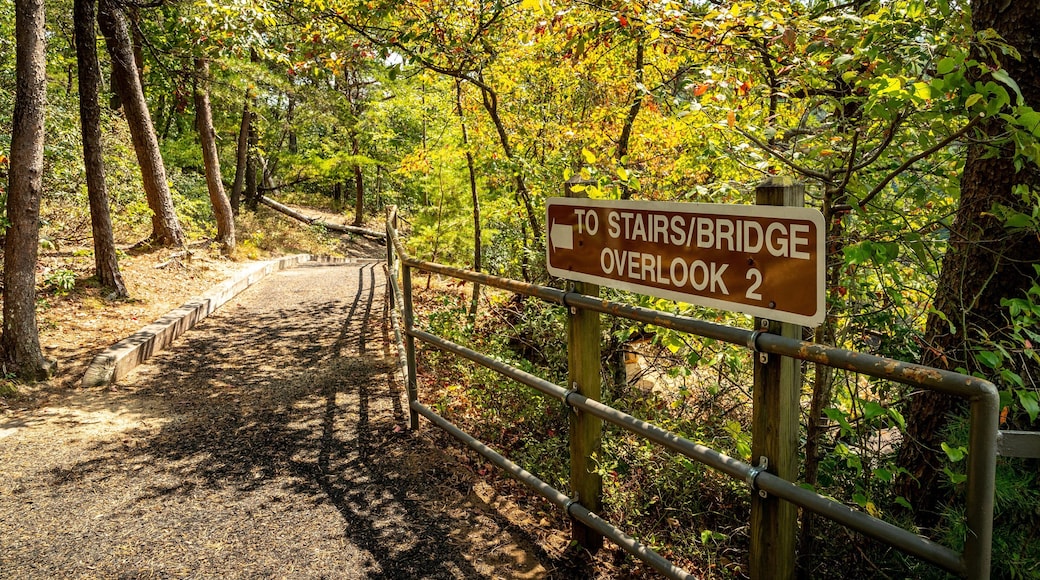 Tallulah Gorge State Park