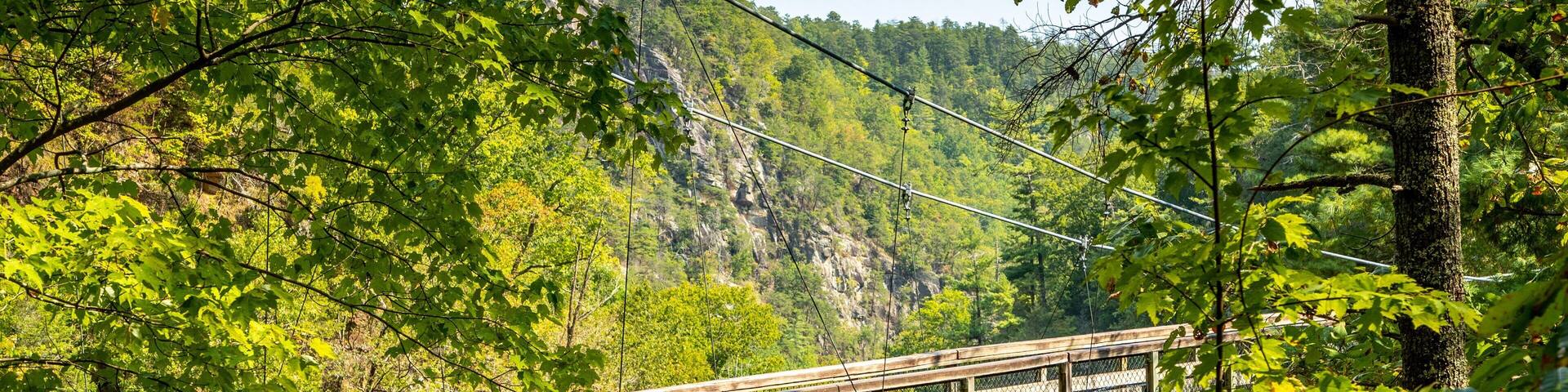 A wooden bridge with metal railings spanning a river, surrounded by lush greenery and a mountainous backdrop.