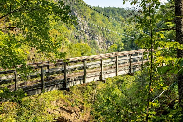 A wooden bridge with metal railings spanning a river, surrounded by lush greenery and a mountainous backdrop.