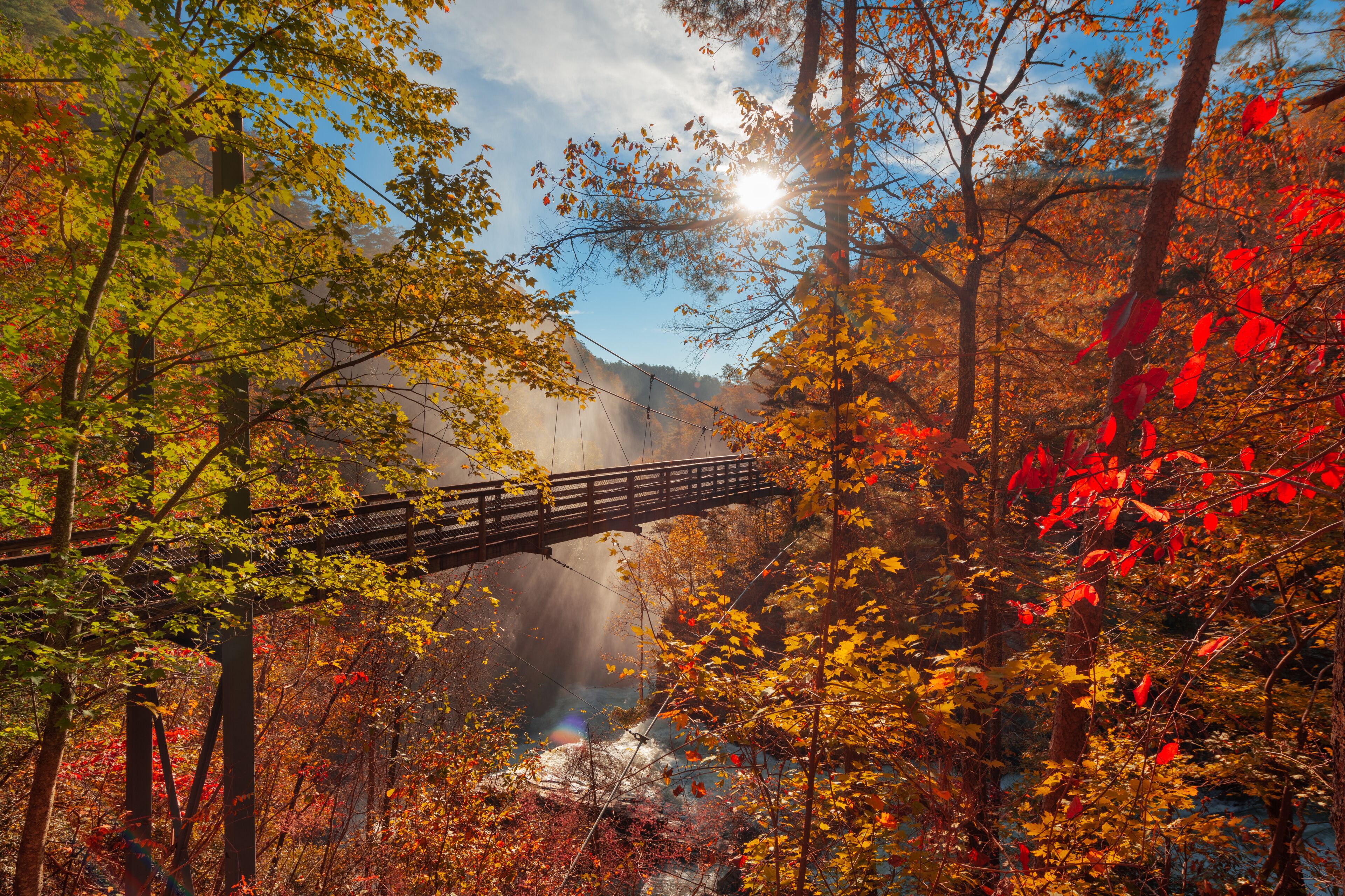 A forest with autumn foliage, a wooden bridge, and a mountain in the background.