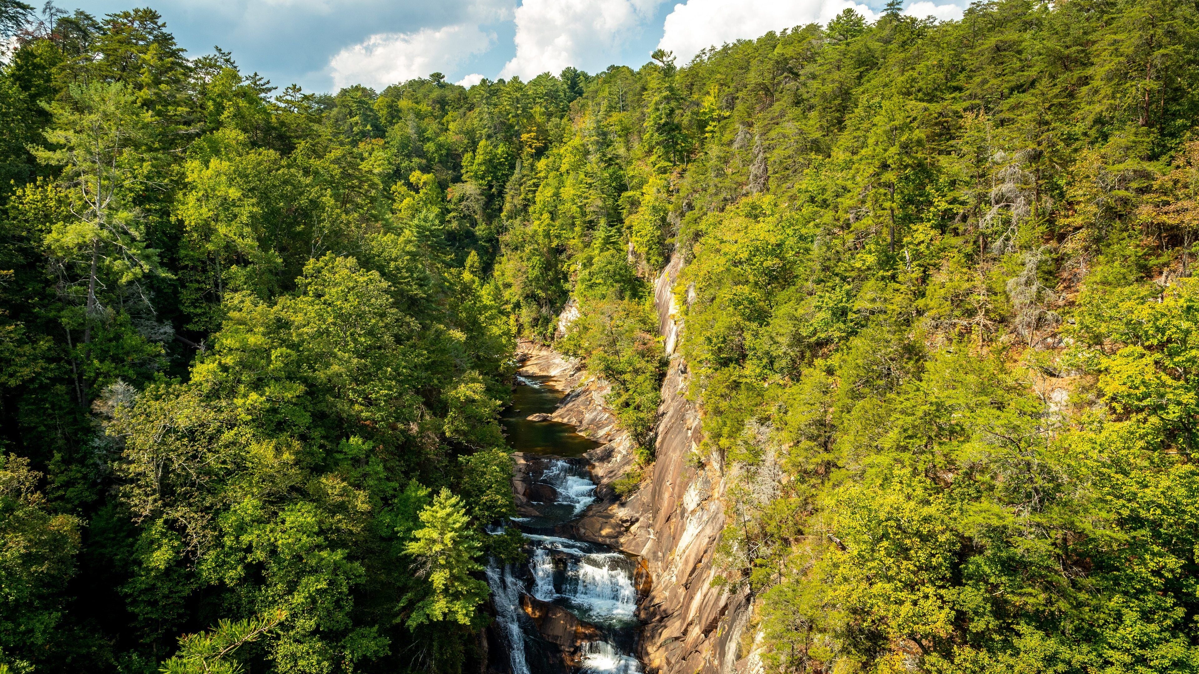 A forested valley with a waterfall cascading down a rocky cliff.