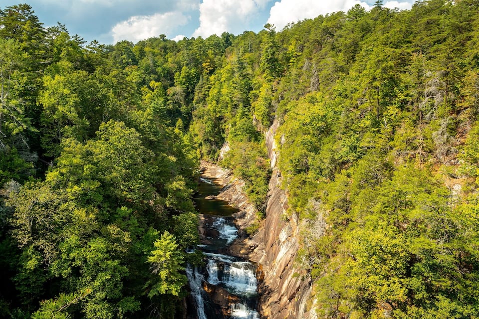 A forested valley with a waterfall cascading down a rocky cliff.