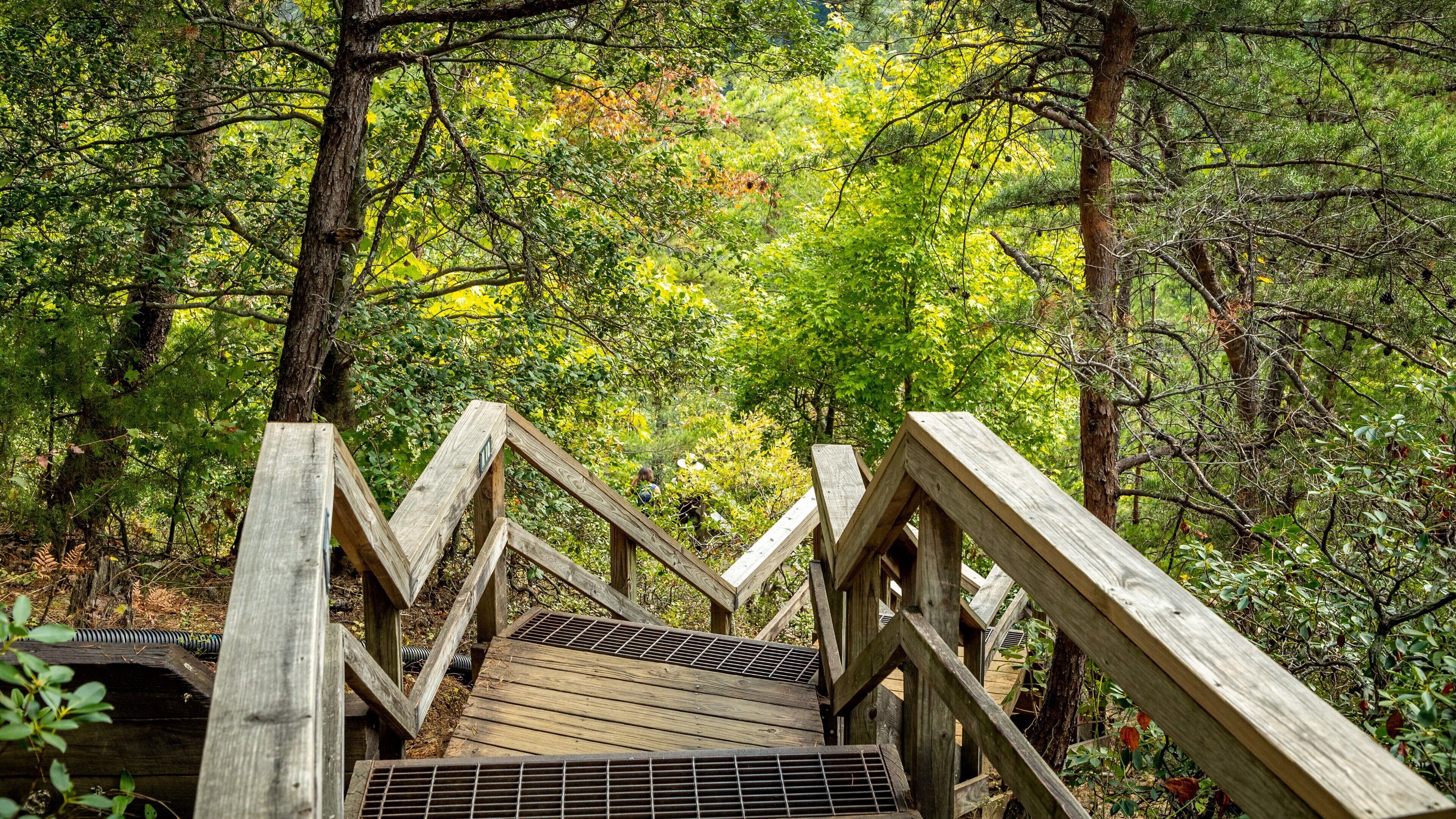 Tallulah Gorge State Park