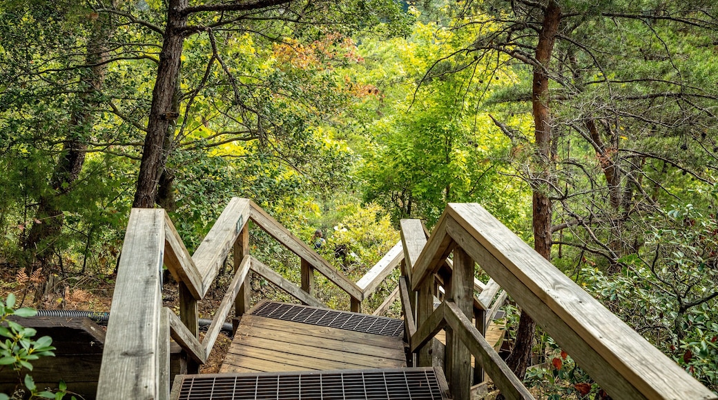 Tallulah Gorge State Park
