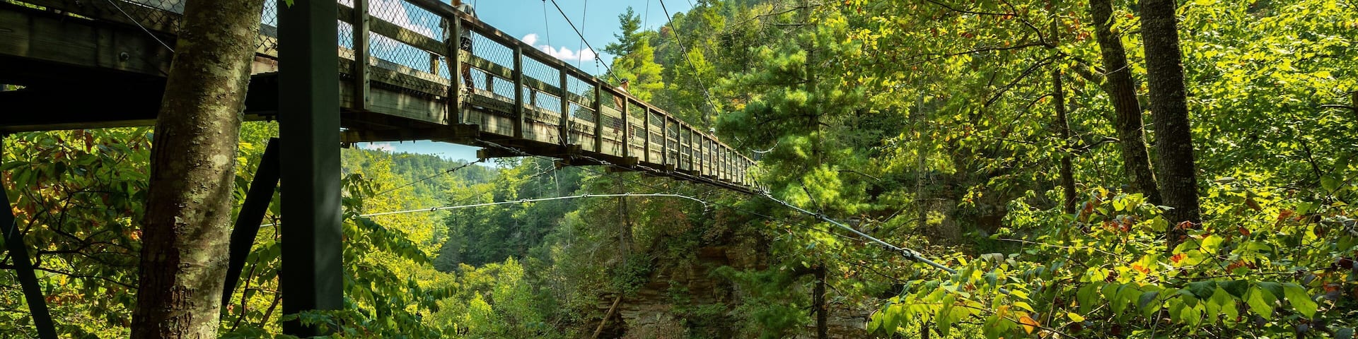 A suspension bridge in a forested area with dense foliage and rocky terrain.