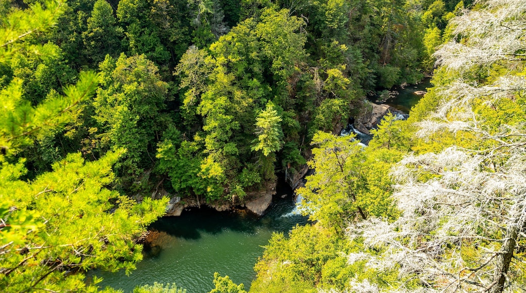 Tallulah Gorge State Park
