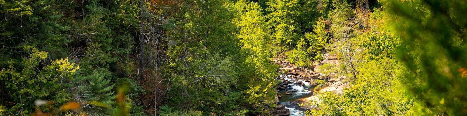 Tallulah Gorge State Park