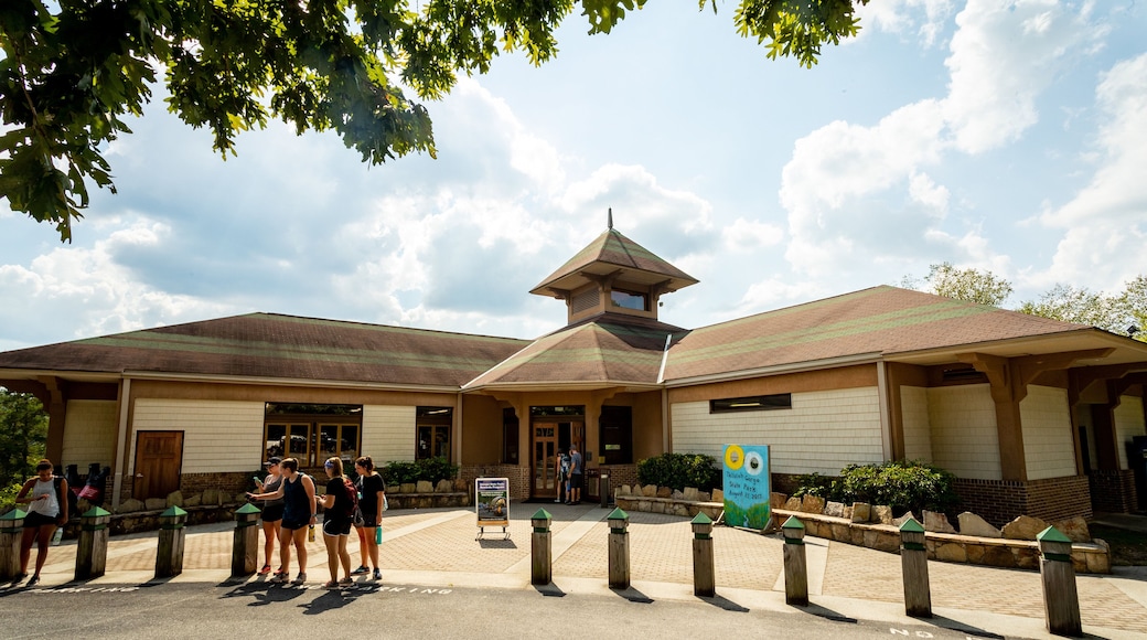 Tallulah Gorge State Park