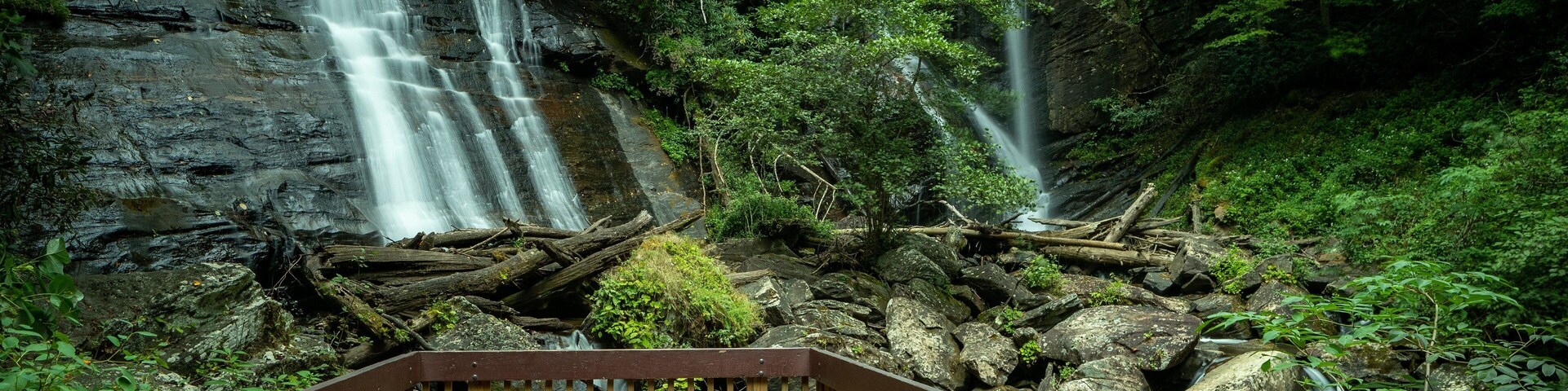 Anna Ruby Falls featuring a river or creek, a cascade and forest scenes