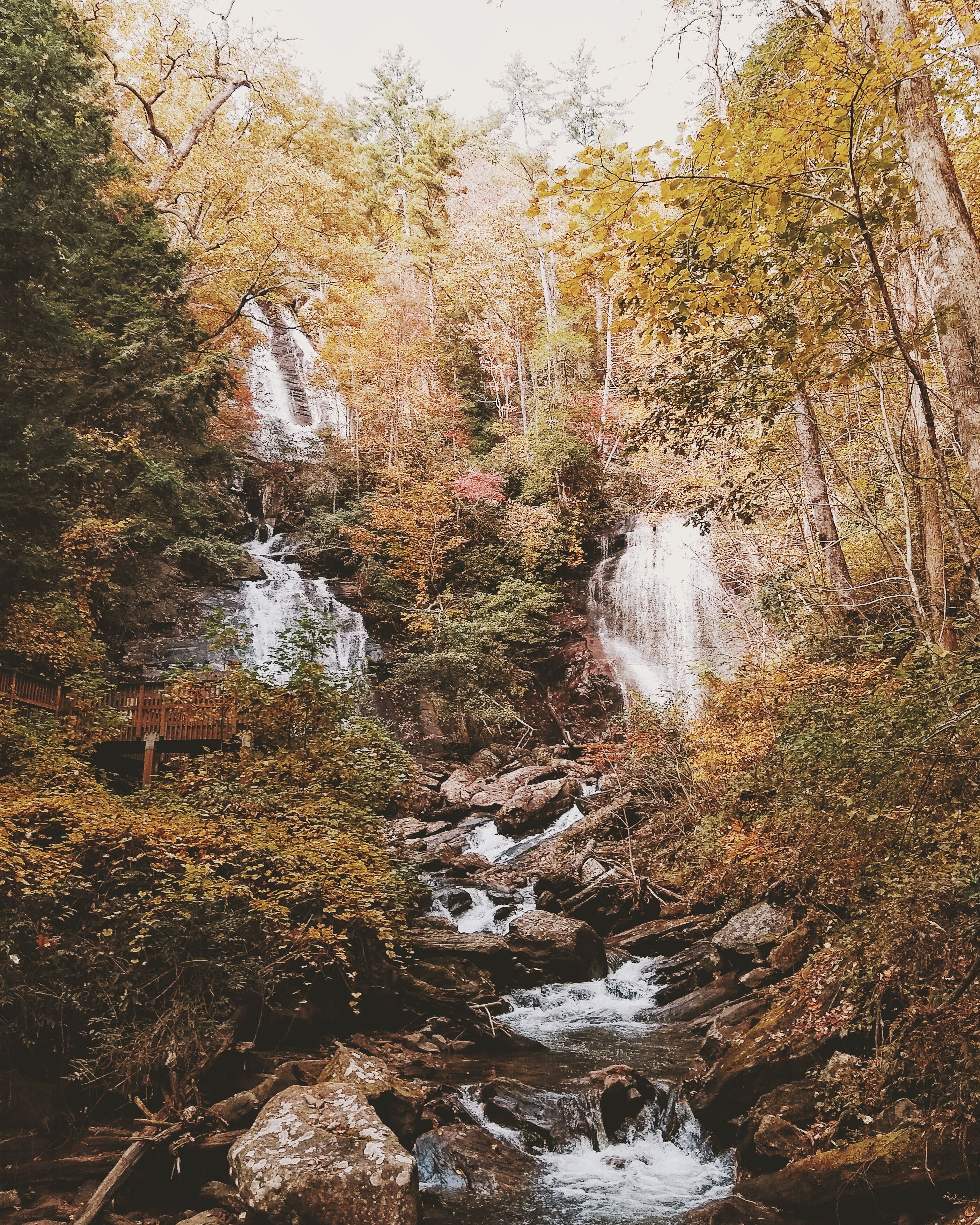 Un cascada que raja sobre roques en una zona boscosa amb fullatge d'hivern.