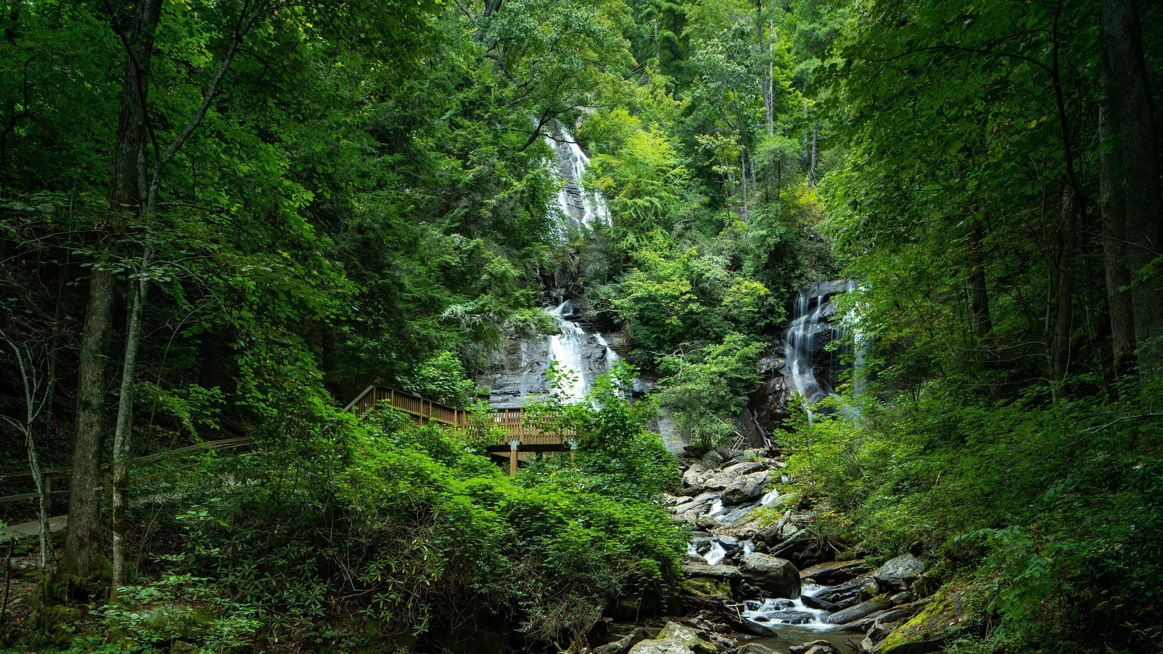 Anna Ruby Falls featuring a cascade, a river or creek and forest scenes