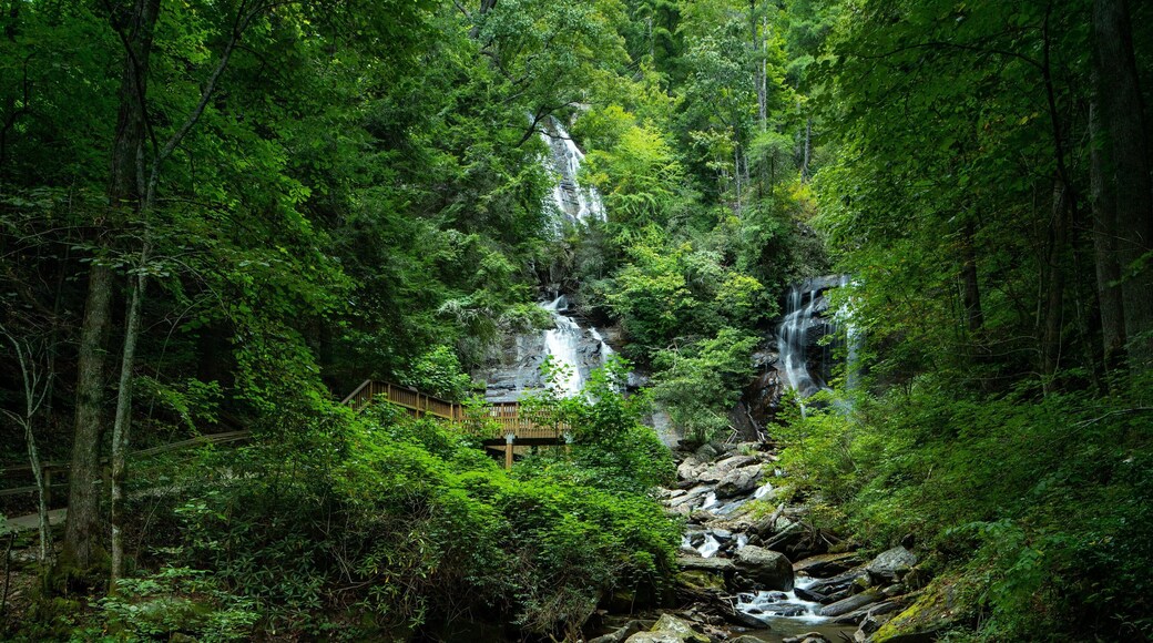 Anna Ruby Falls featuring a cascade, a river or creek and forest scenes