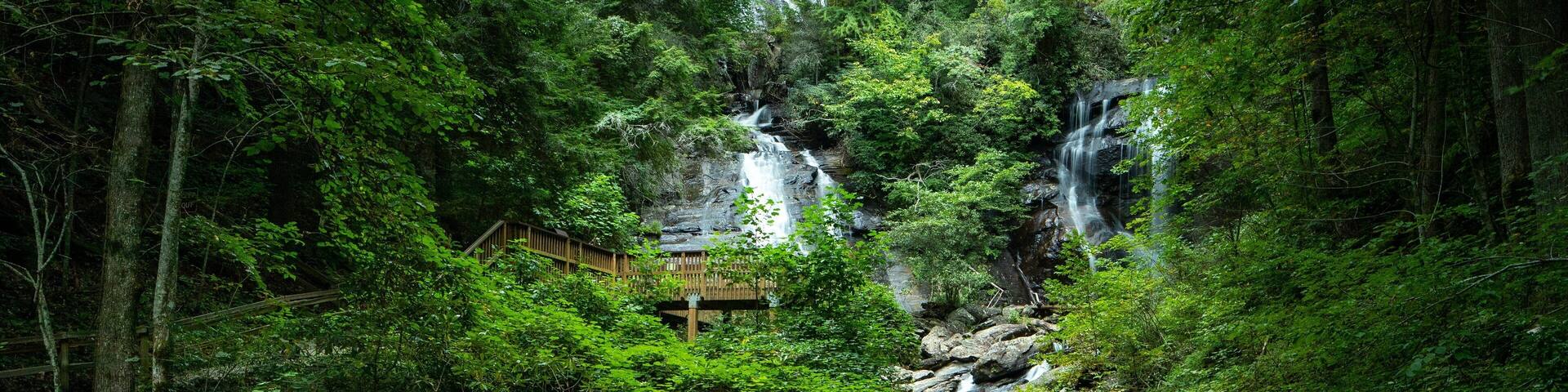 A forested area with a waterfall and a wooden bridge.