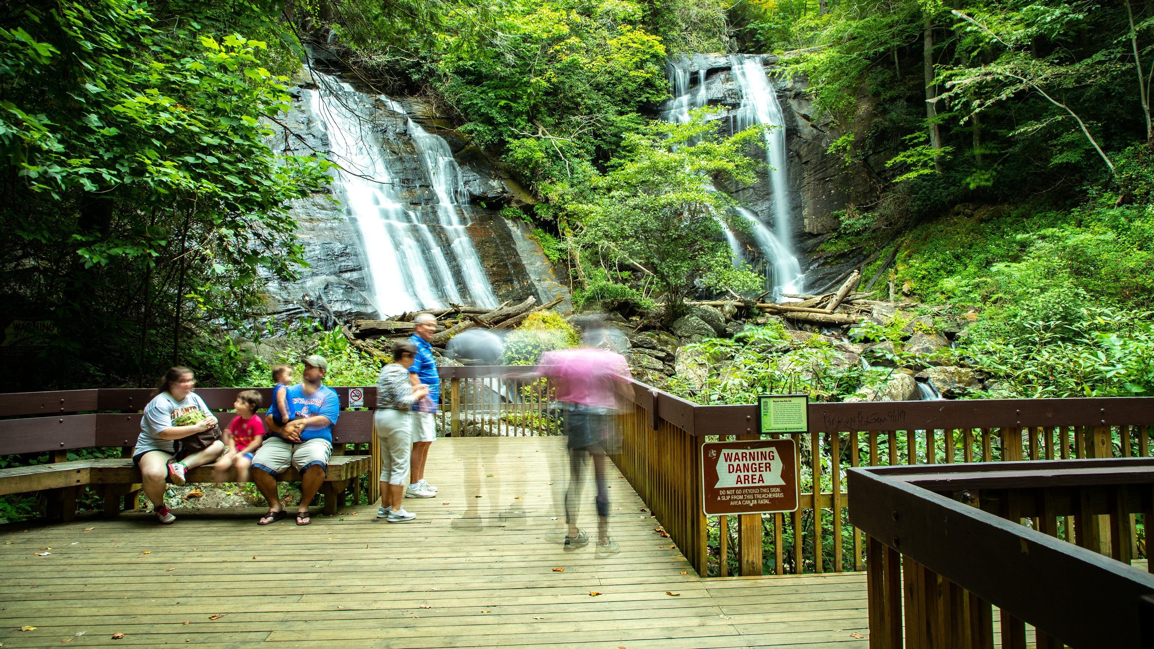 Anna Ruby Falls showing forest scenes and a cascade as well as a small group of people