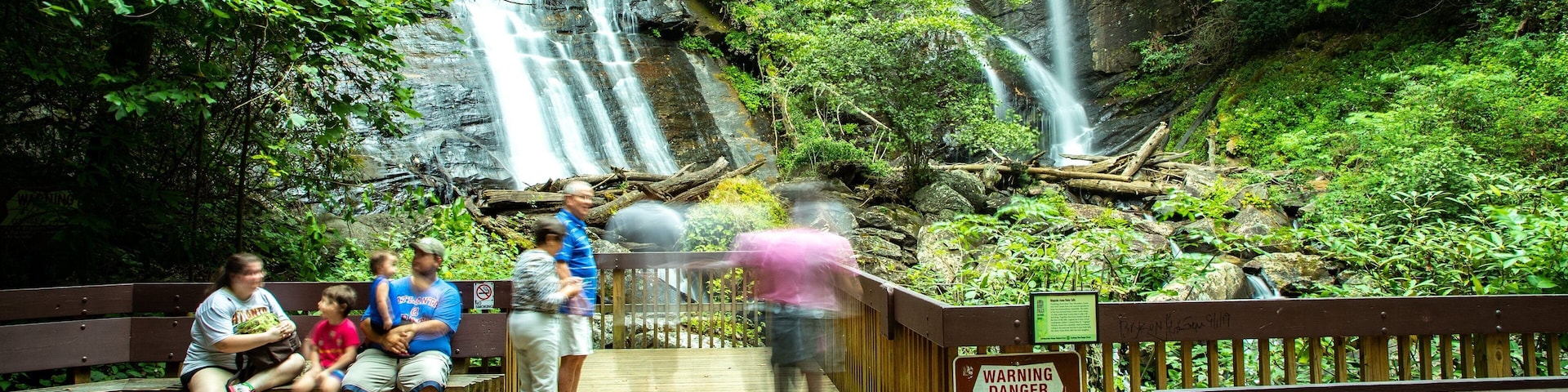 Anna Ruby Falls showing forest scenes and a cascade as well as a small group of people