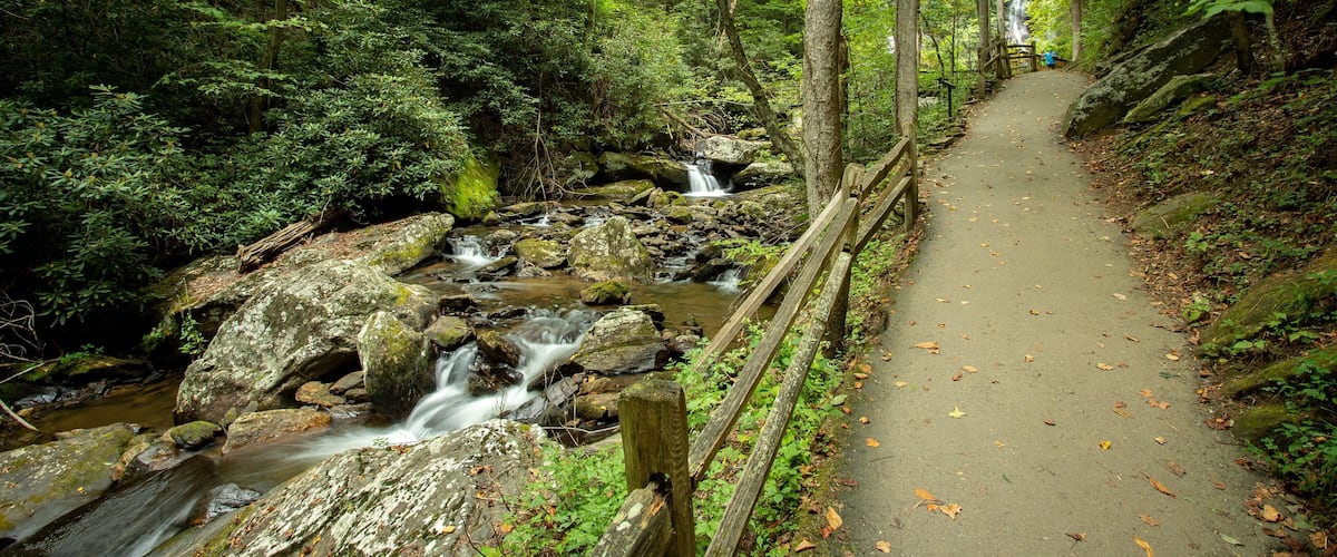 Anna Ruby Falls which includes a river or creek and forest scenes