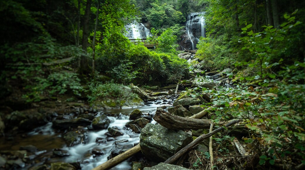 Anna Ruby Falls which includes a river or creek, forest scenes and a waterfall