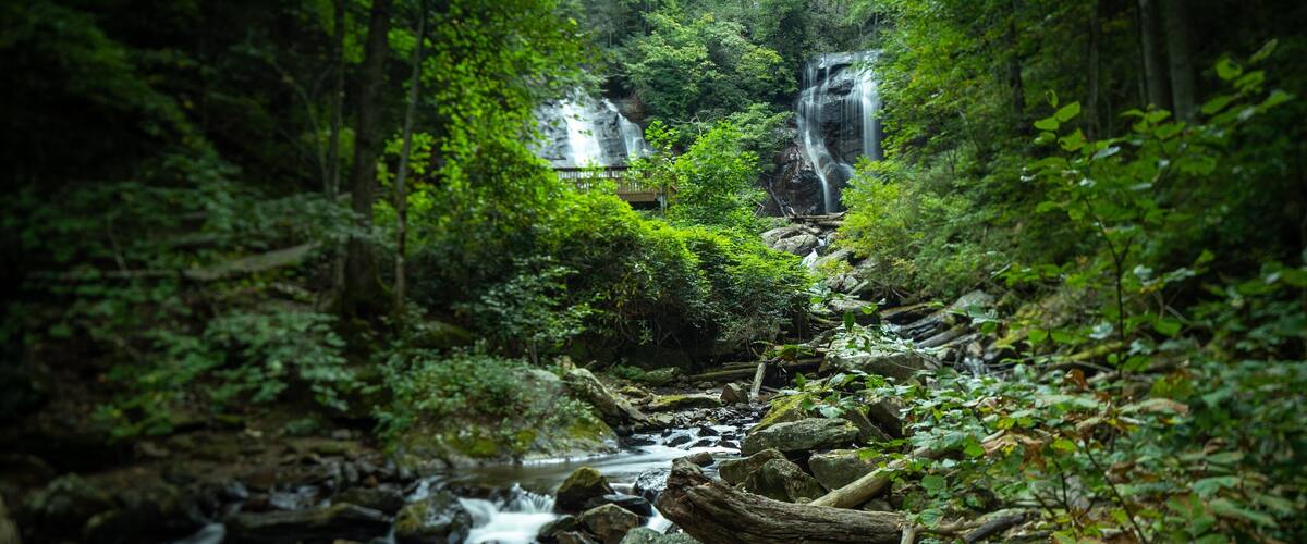 Anna Ruby Falls which includes a river or creek, forest scenes and a waterfall