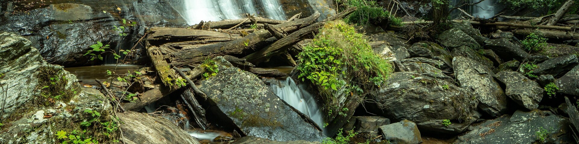 Anna Ruby Falls featuring a waterfall