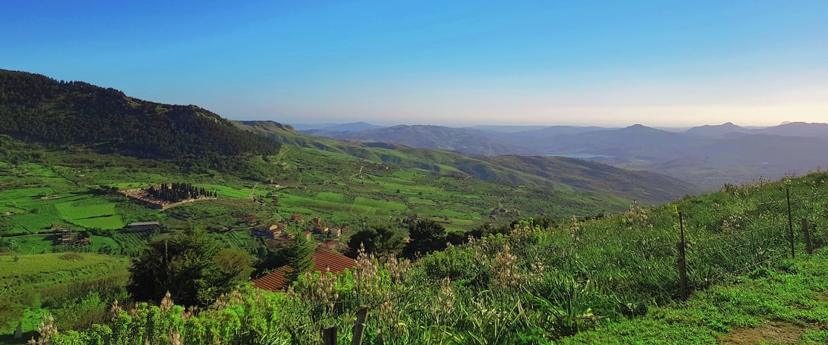 A lush green valley with rolling hills and scattered houses.