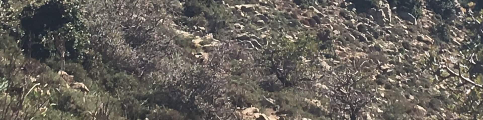 Walking in the Madonie mountains of central Sicily is spectacular with views of Mont Etna to the east. #mountains
#BVSBlue
