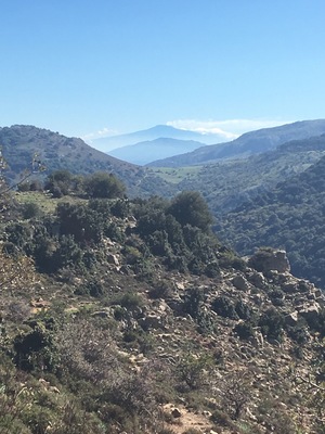 Walking in the Madonie mountains of central Sicily is spectacular with views of Mont Etna to the east. #mountains
#BVSBlue
