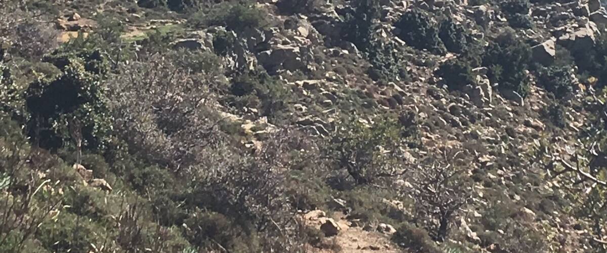 A mountainous landscape with dense vegetation and rocky terrain.