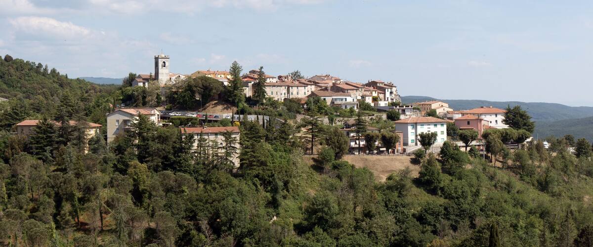 A hillside village with terraced houses, a church tower, and dense forest.