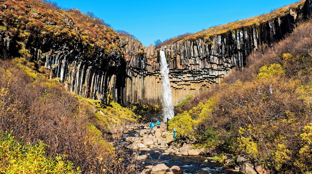 It's worth to walk about an hour to reach this waterfall in the south part of Iceland as the autumn scene here is so stunting.