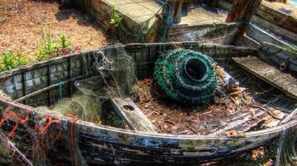 Old wooden boat feature, Heritage Trail, Paradise Park